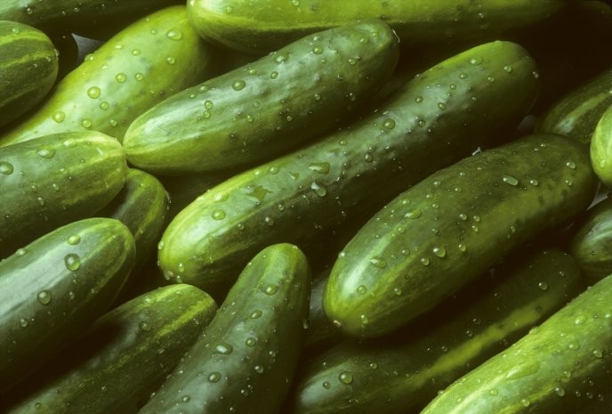 El pepino baja un 50 por ciento su valor respecto a la semana pasada
