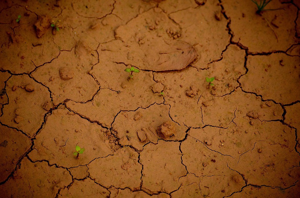 La Junta ya tiene en marcha toda la normativa de lucha contra el cambio climático