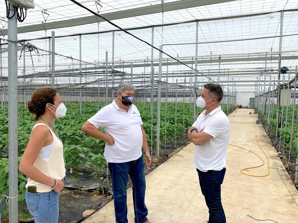 Koppert exhibirá sus innovaciones de control biológico en la finca experimental de Criado y López