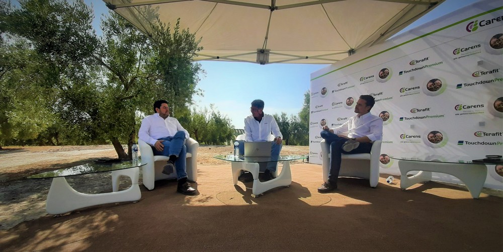 Un buen tratamiento herbicida y nutricional en otoño, clave para aumentar la producción y la calidad de la aceituna