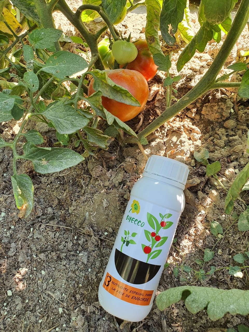 Vellsam presenta Byecco, su nueva línea de jardinería