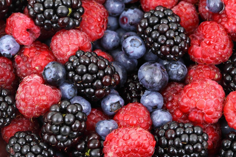 Andalucía bate récord de exportaciones en frutas y hortalizas, con 4.057 millones de euros y un alza del 5,1%