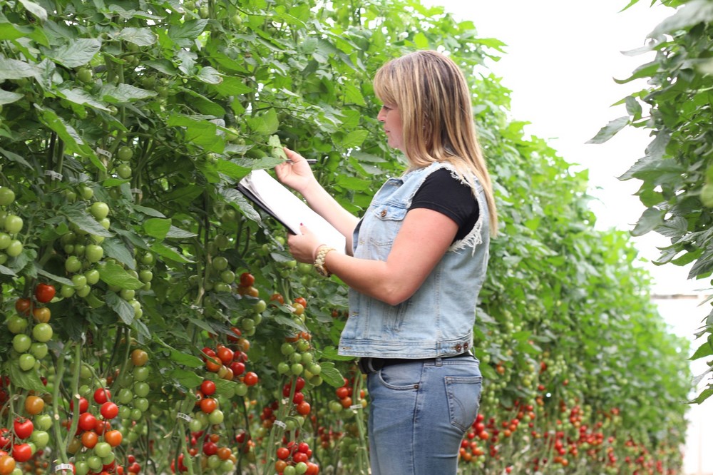 Los ingenieros agrícolas son los mejores candidatos a las ayudas para asesoramiento gratuito a explotaciones