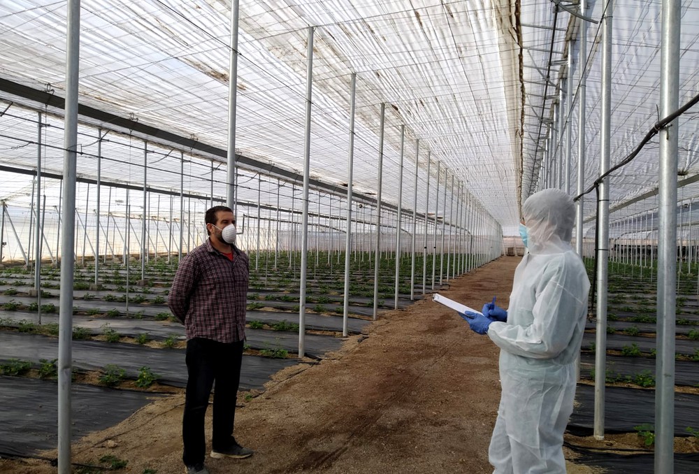 Agrocolor conecta con sus clientes en Fruit Attraction LiveConnect