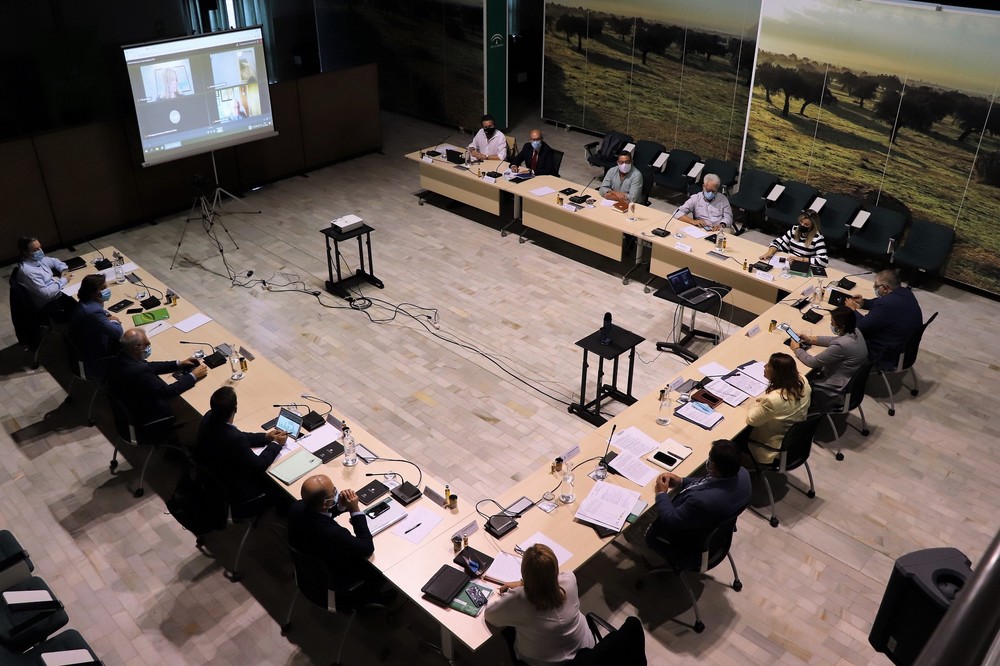 El grupo de expertos analizará punto por punto la nueva PAC con el objetivo de establecer la mejor propuesta para el futuro de Andalucía