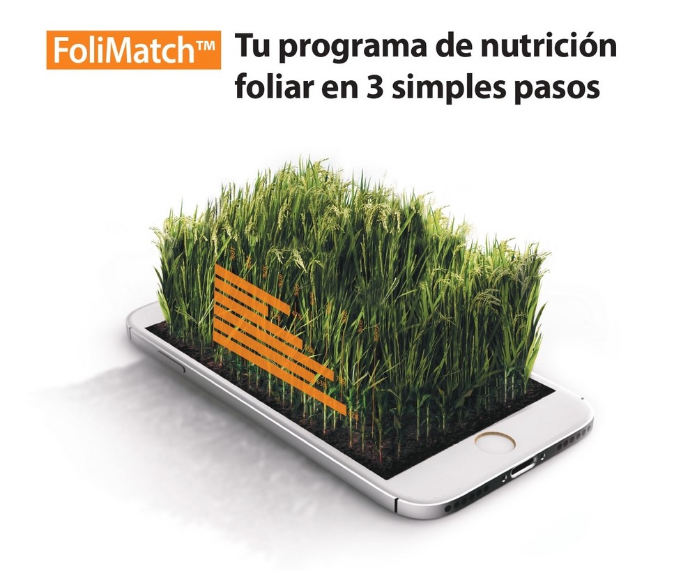 FoliMatch™, el programa de nutrición foliar en tres pasos de Haifa