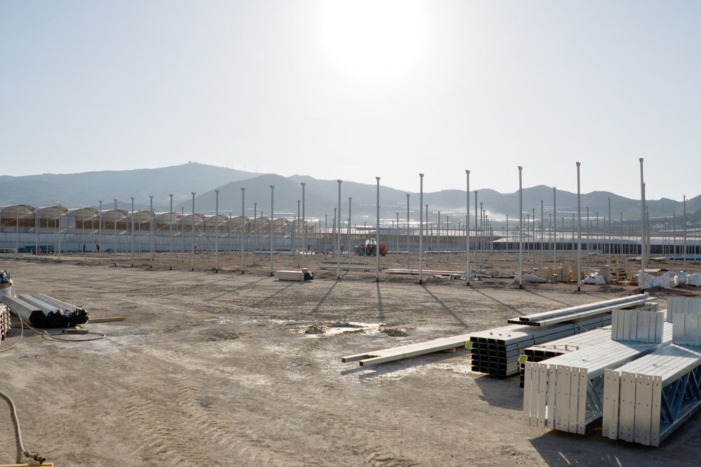 Semillero Saliplant amplía  sus instalaciones de ecológico