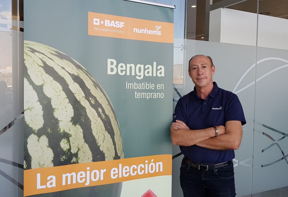 Bengala, la sandía líder de ciclo temprano por su cuaje, calidad y homogeneidad