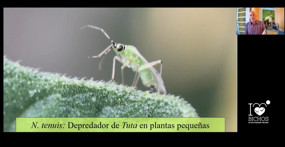 Las prácticas agroecológicas son el futuro del control biológico