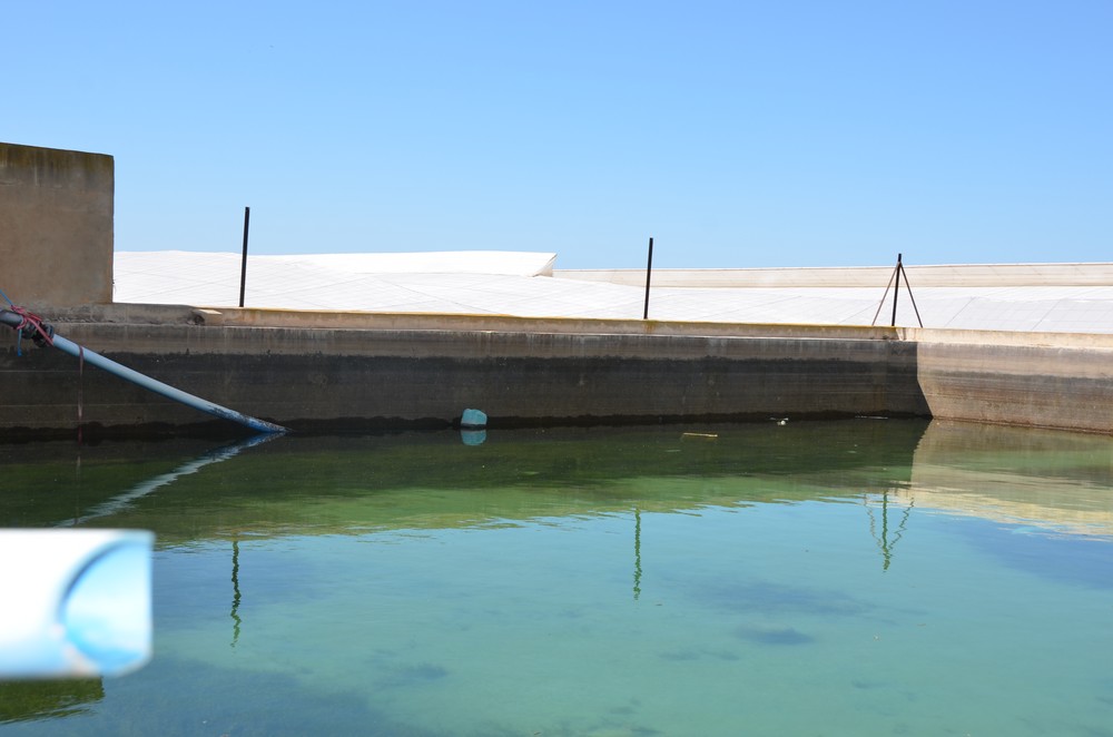 El Pacto Andaluz por el Agua afronta su última fase con el apoyo mayoritario a 100 propuestas