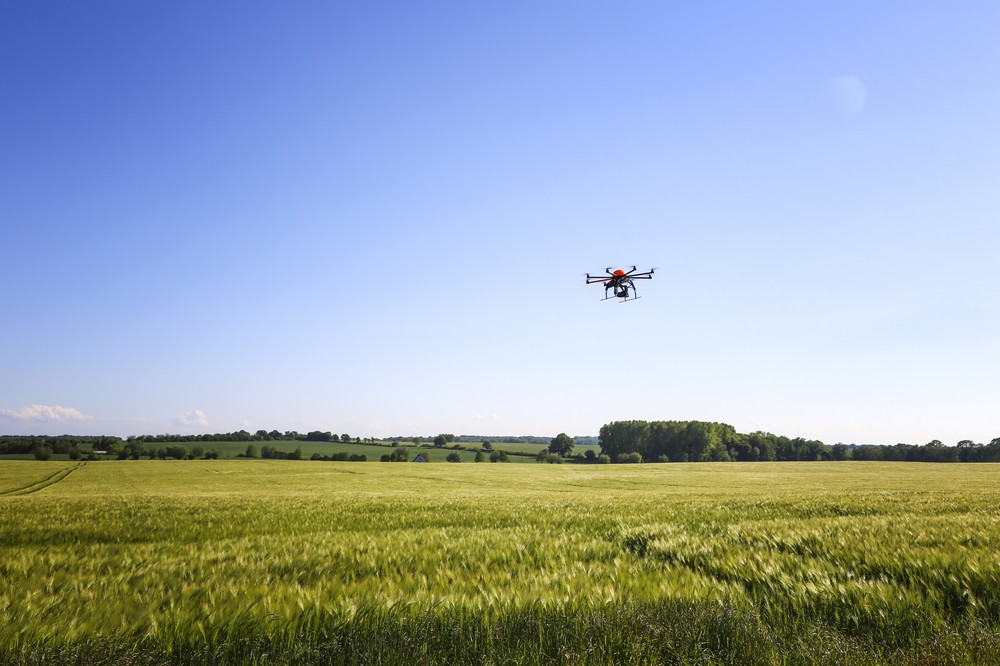 BASF y TECNALIA aceleran la I+D de nuevos productos fitosanitarios mediante la digitalización