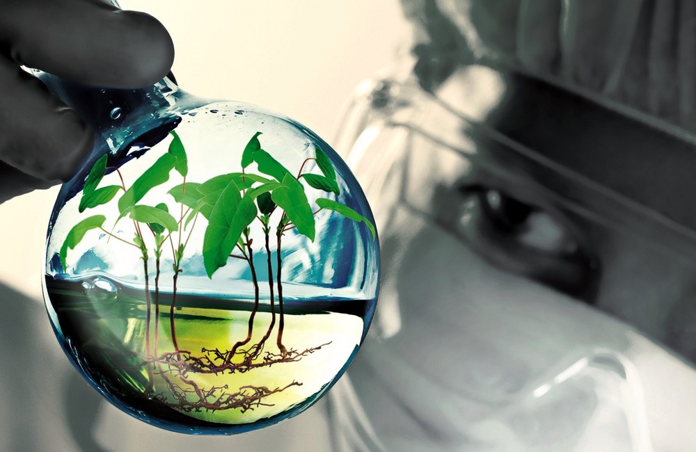 FMC vence en las categorías a la mejor línea de Investigación y mejor Bioestimulante del Sector en los prestigiosos premios internacionales Crop Science Awards