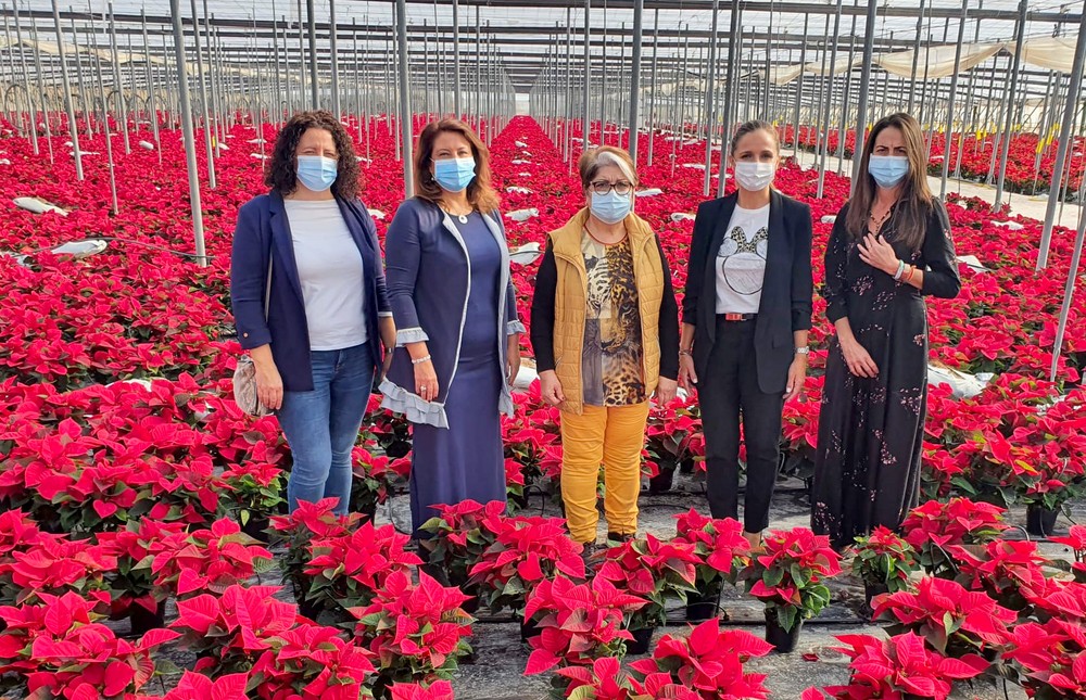 Carmen Crespo anima a comprar flores de pascua andaluzas para ayudar a un sector afectado por la Covid-19