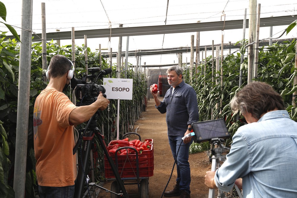 El presentador y humorista Miki Nadal protagoniza la campaña de Pimiento y Berenjena de Meridiem Seeds