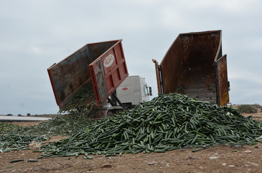 El sector agrícola pretende retirar del mercado hasta dos millones de kilos de producto ante los “precios ruinosos”