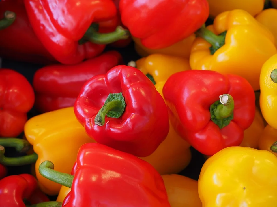 Ligera subida generalizada en el precio de los productos hortícolas almerienses