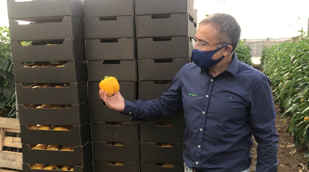 Ecoculture combate la llegada del frío y mejora el crecimiento del cultivo en condiciones extremas