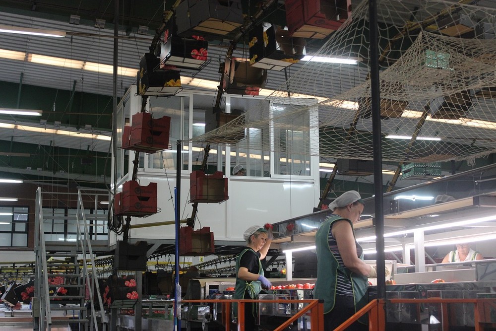 La Junta amplía hasta el 9 de enero el plazo para optar a las ayudas a la industria agroalimentaria