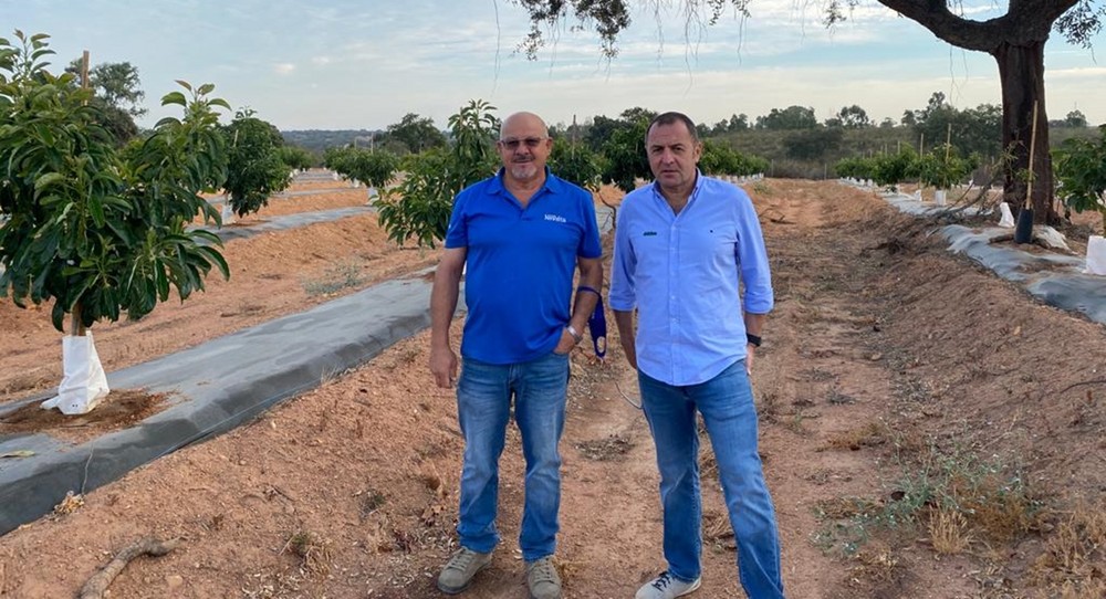 Reducción de hasta el 50% del aporte de nitratos con el uso de NHDelta de Ecoculture