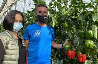 “Nyobi es el pimiento ideal para cultivar en la zona de Berja”