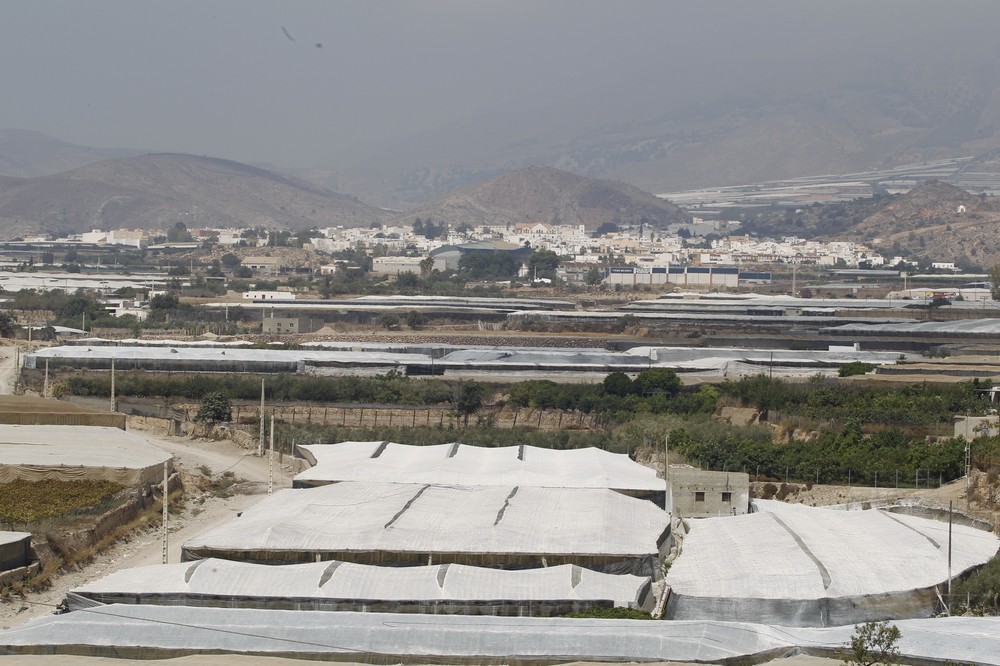 Agricultura invierte 10,92 millones de euros en la modernización de invernaderos andaluces