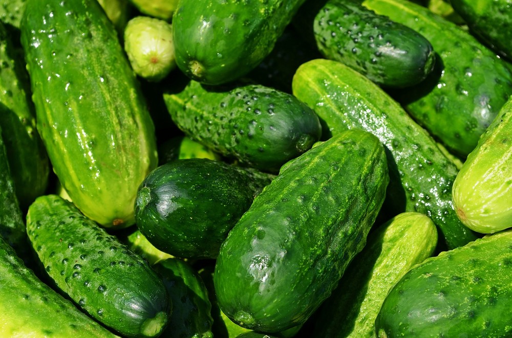 El pepino y la berenjena, los únicos cultivos que no desciende su valor en la última semana