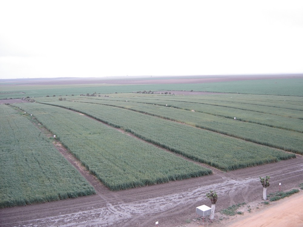 Agricultura investiga en diversas líneas sobre la salud del suelo con el objetivo de mejorarla