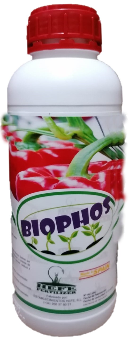 Hefe Fertilizer presenta Biophos, el biofertilizante que mejora el fósforo en  el suelo y aumenta la producción final