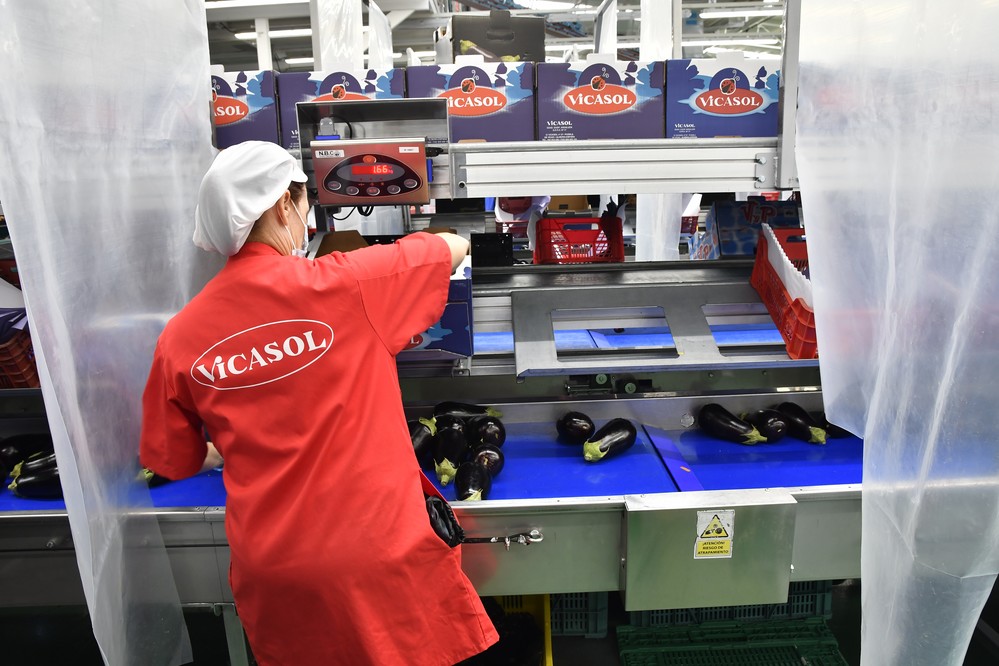 Vicasol afronta 2021 con la mirada puesta en el mercado gourmet, la sostenibilidad y el bienestar de sus socios agricultores