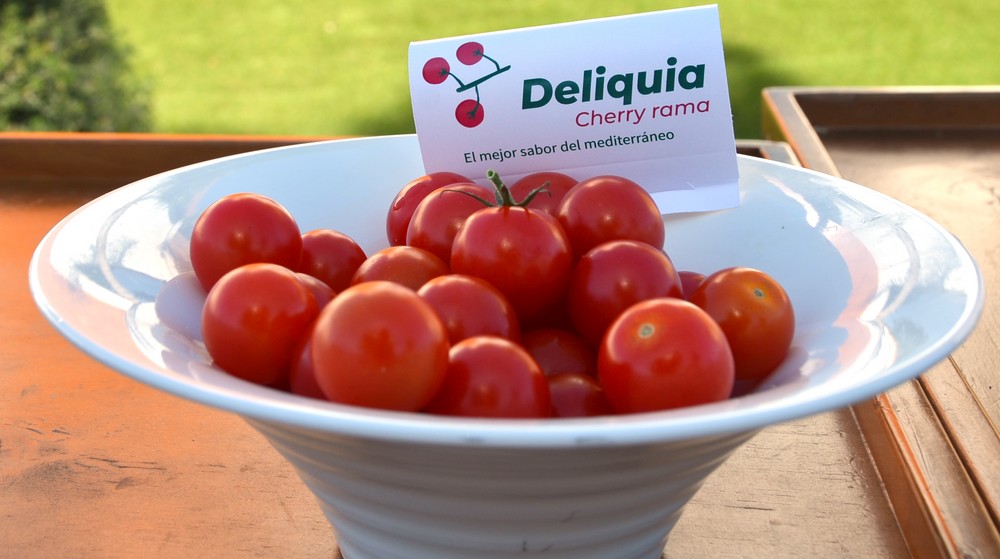 Deliquia RZ, el cherry de exquisito paladar para repetir una y otra vez