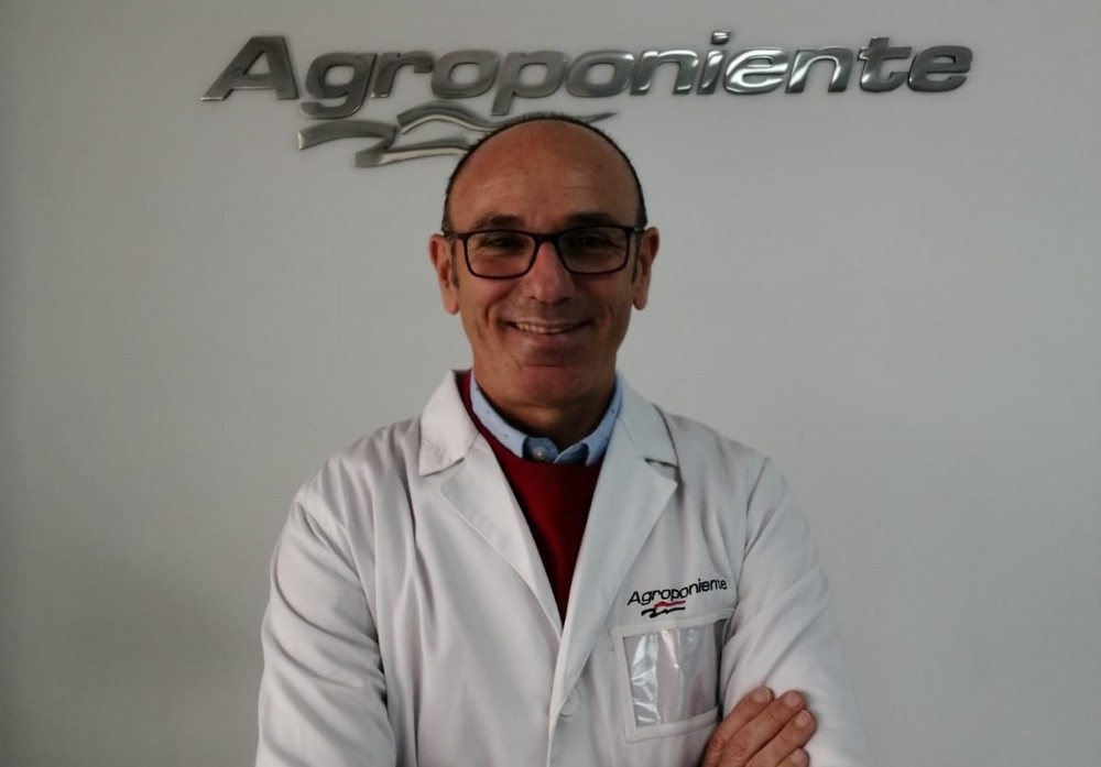 Grupo Agroponiente hace un balance “muy positivo” de la estrategia de control del Covid-19 en la compañía