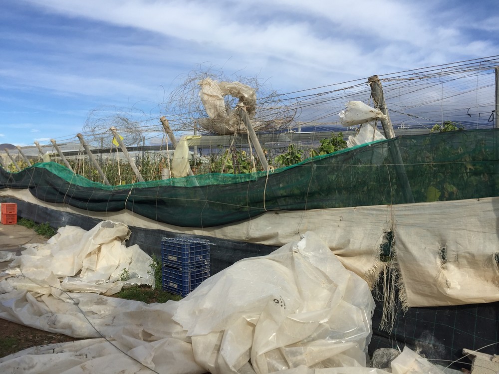 El Gobierno autoriza la subvención de los recargos por siniestralidad en el seguro agrario