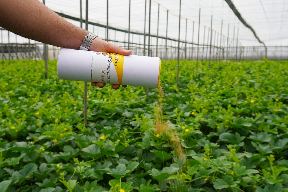Agrobío aconseja introducir fauna auxiliar de forma precoz para mantener el campo limpio en primavera