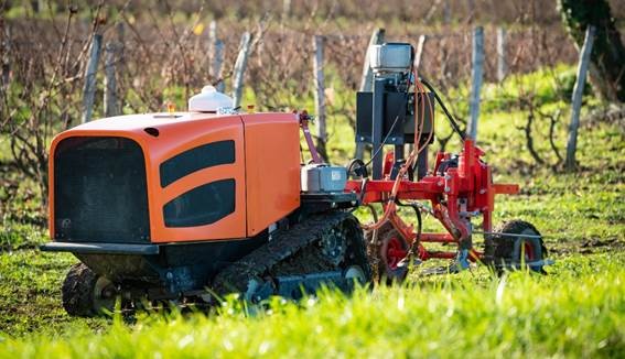 Un proyecto del CSIC utilizará el láser para eliminar malas hierbas de los cultivos sin necesidad de pesticidas