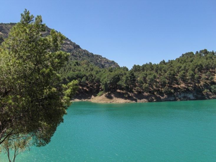 Fenacore pide aumentar la regulación hídrica para no desperdiciar el agua de nevadas como las causadas por Filomena