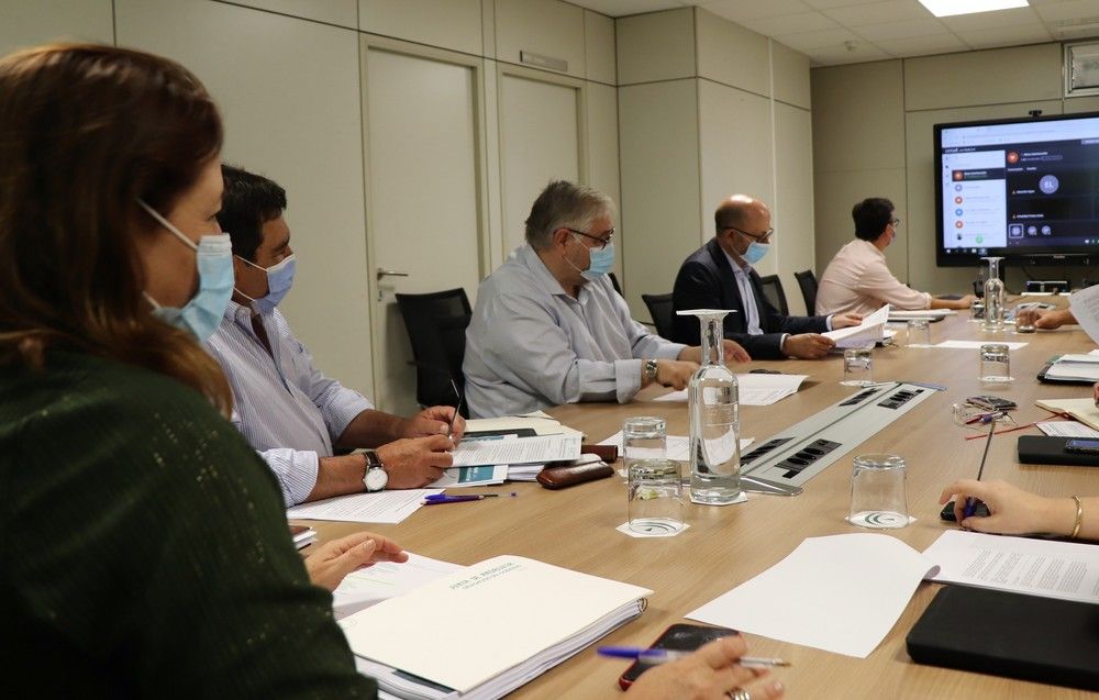 Rechazo unánime de la Junta y el sector agrario andaluz al proyecto de real decreto de transición de la PAC