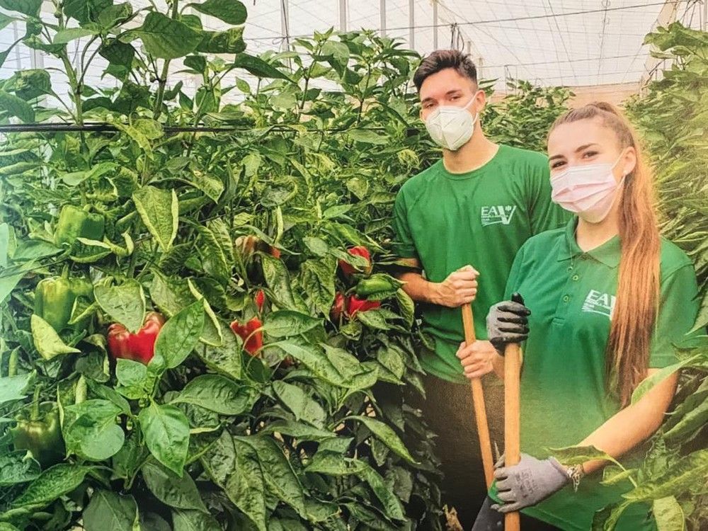 El delegado de Educación visita las instalaciones de la Escuela Agraria de Vícar