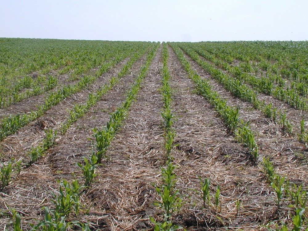 La UE incluye la Agricultura de Conservación en el listado de eco-esquemas de la PAC por sus beneficios medioambientales
