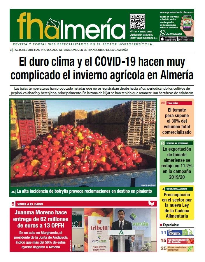 Nº 151- Enero 2021