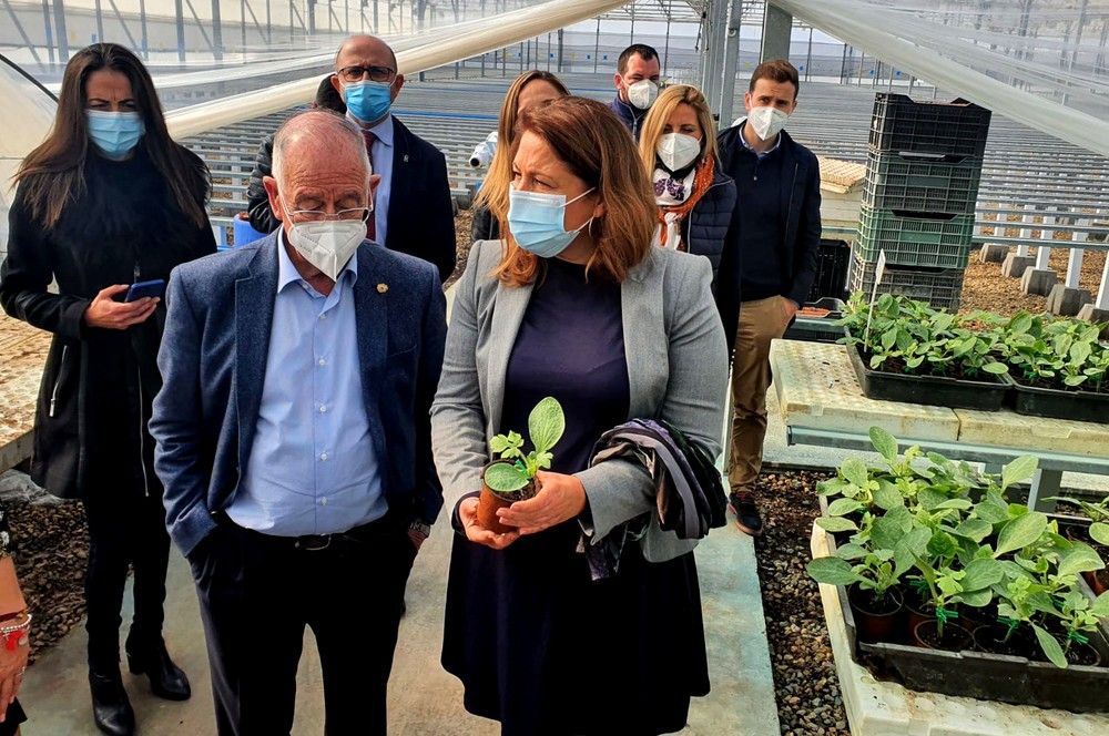 Agricultura pondrá a disposición del sector 100M€ para la modernización de explotaciones hasta el final del periodo transitorio de la PAC