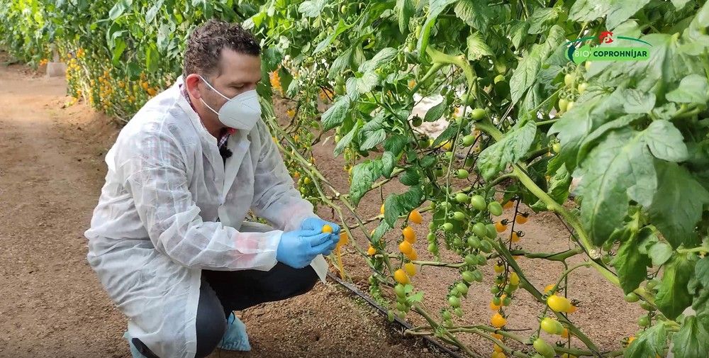 La finca experimental de Coprohníjar es un referente en la producción agrícola