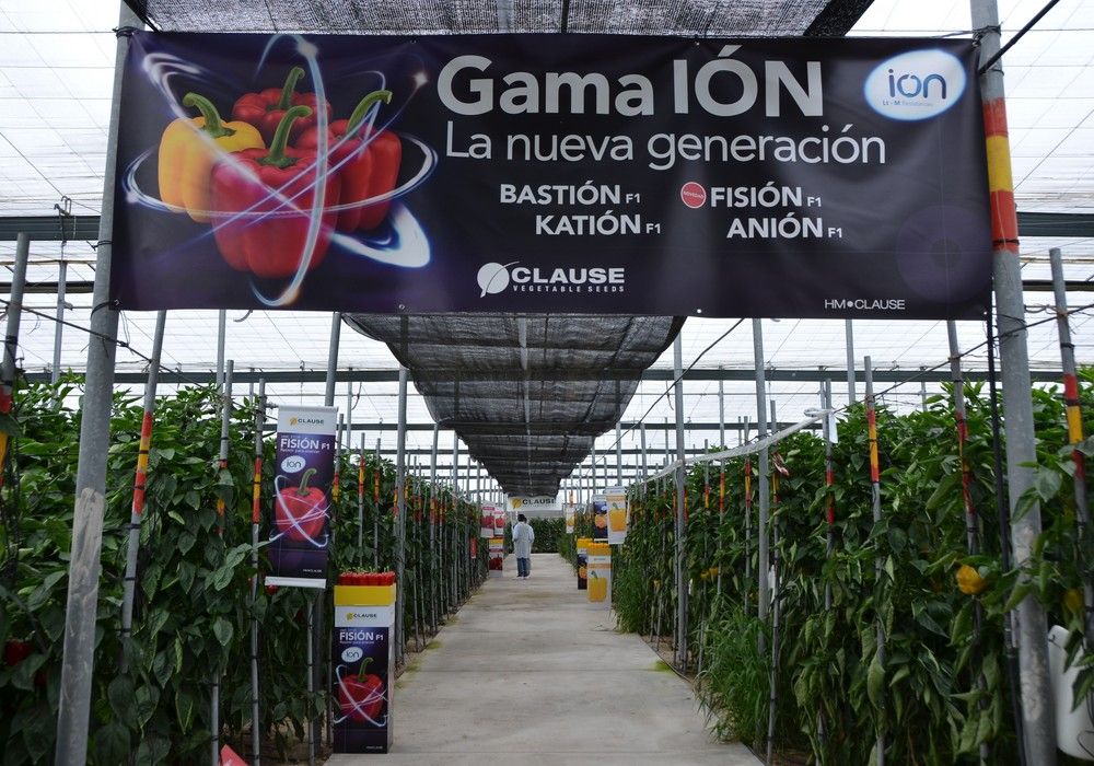 HM.CLAUSE abre esta semana su finca de pimiento y muestra su nueva generación de pimientos de la gama IÓN