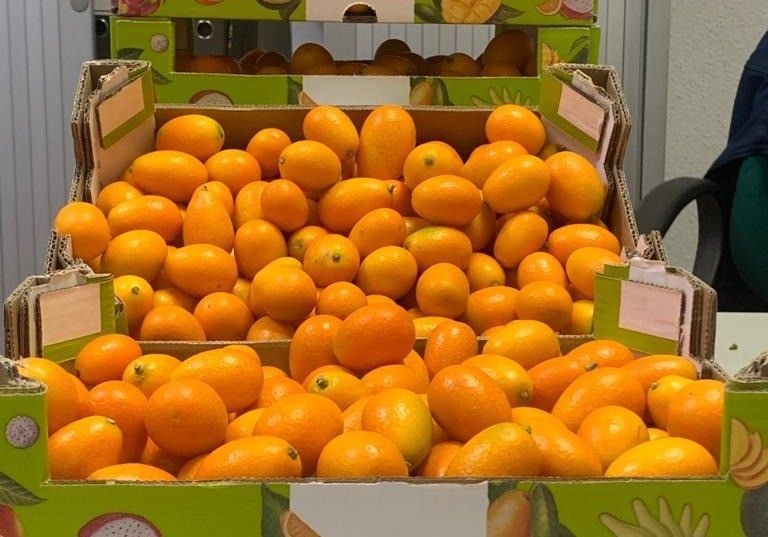 Grupo Agroponiente sigue apostando por los productos tropicales con nuevos productos y lanza la marca especializada ‘Fruish’
