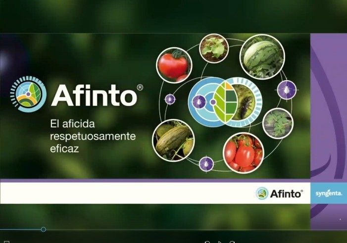 Afinto, el nuevo aficida de Syngenta respetuosamente eficaz contra pulgón