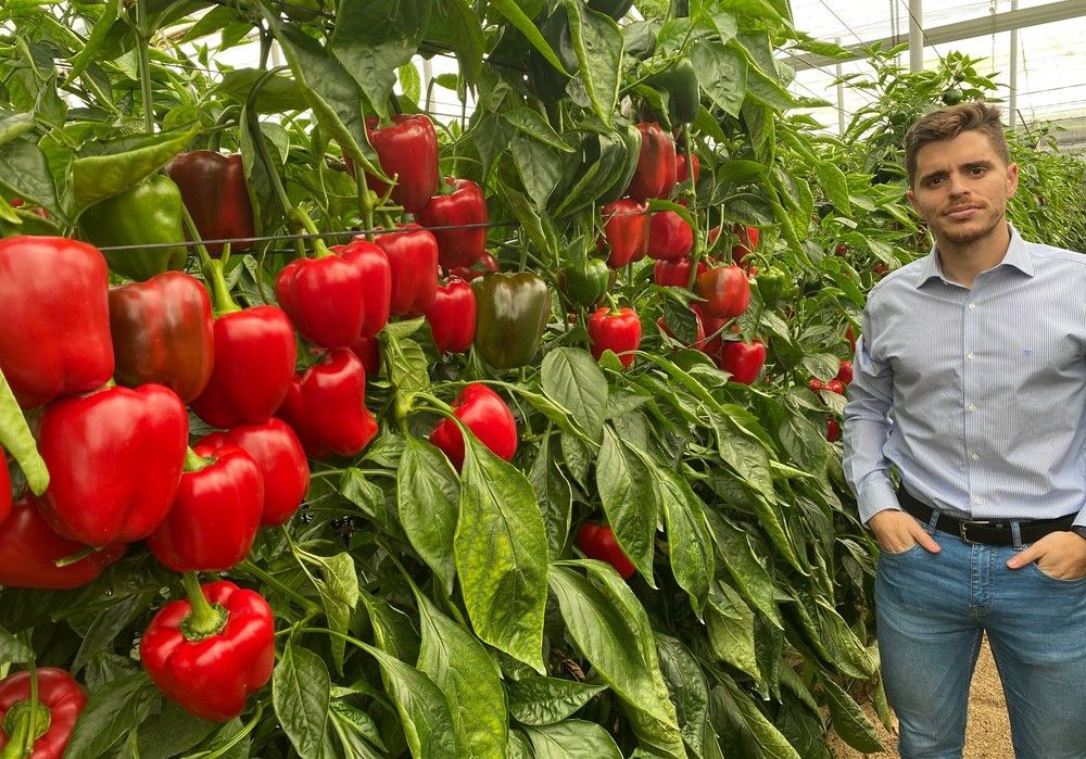 Galiano se consolida como una garantía en California rojo para la cadena