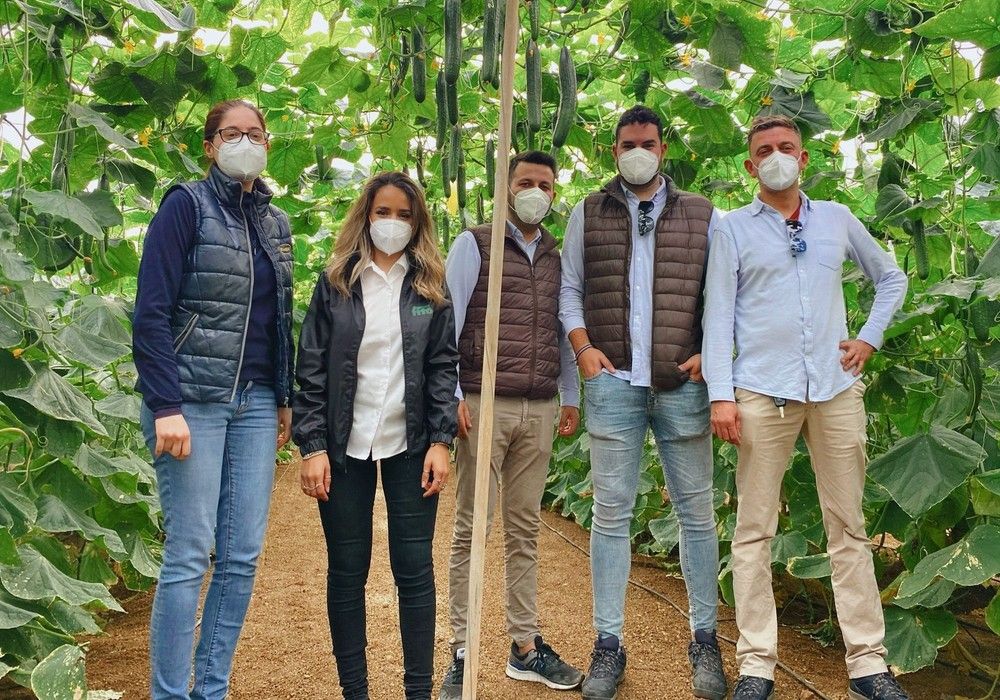 Fitó muestra en campo el potencial de sus variedades de pepino, pimiento y berenjena para siembras de otoño
