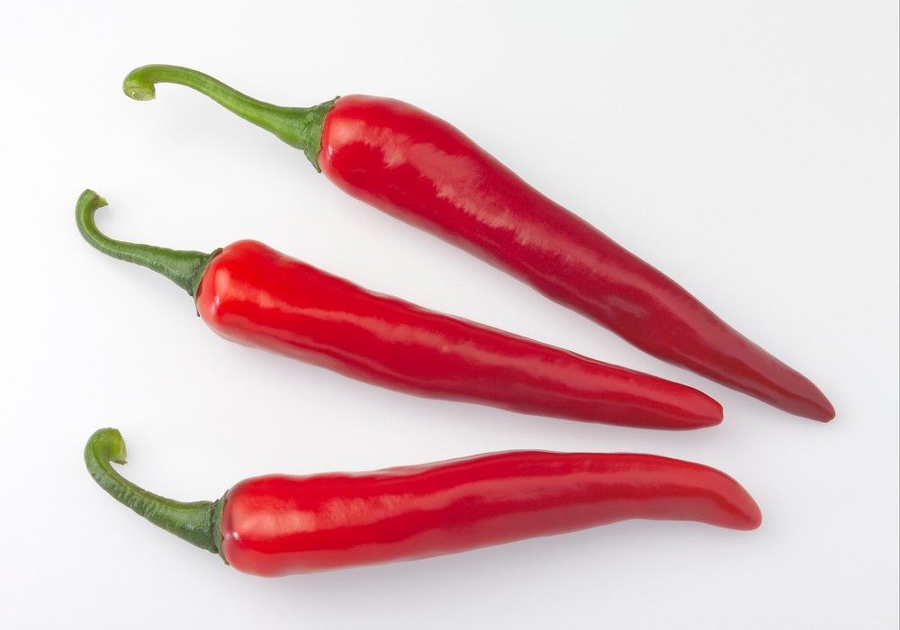 Chiracha RZ, floración continuada con buen rebrote en los meses de invierno