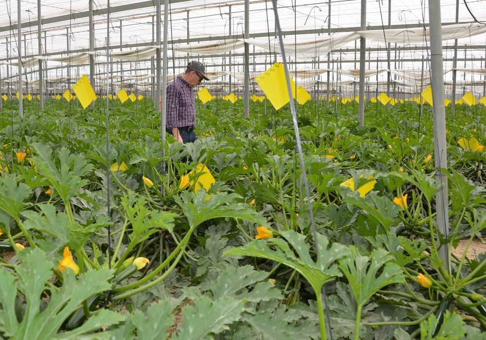 GLOBALG.A.P. revisa la norma de Aseguramiento Integrado de Fincas
