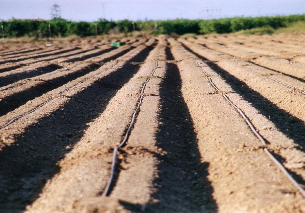 COEXPHAL y PROEXPORT solicitan al MITECO fondos europeos para avanzar en la economía circular del sector hortofrutícola