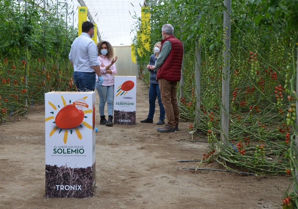 Los cherry pera Mulan y Solemio estrenan la línea Flavourite de Semillas Fitó